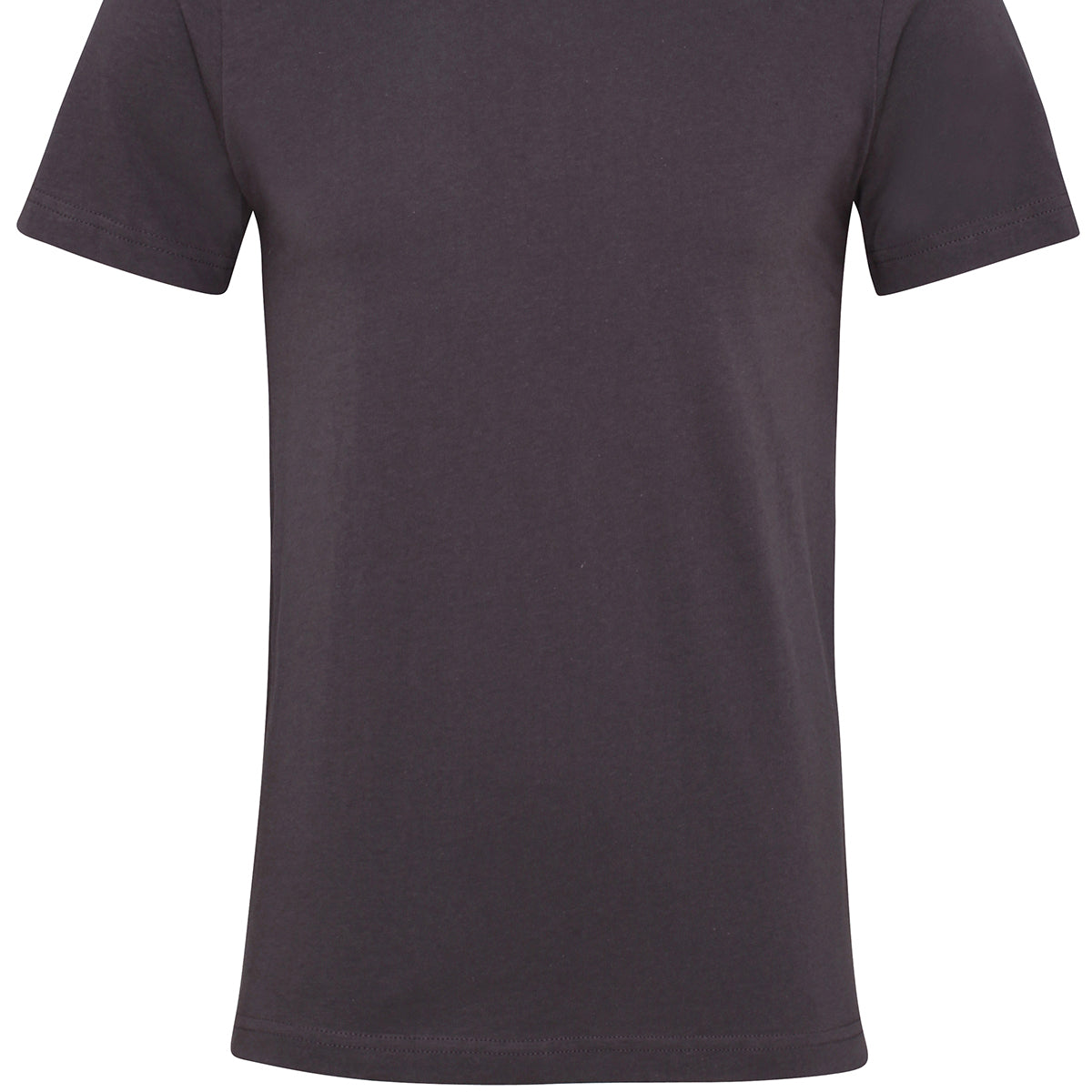 Bella & Canvas Unisex Jersey Crew Neck T-Shirt