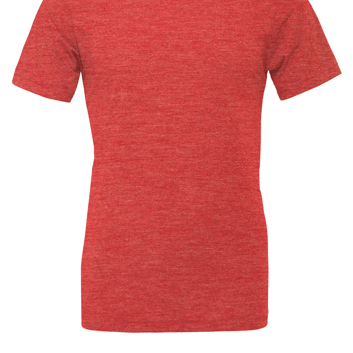 Bella & Canvas Unisex Triblend Crew Neck T-Shirt