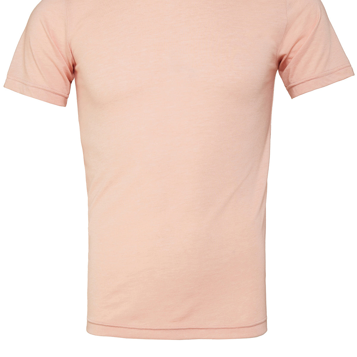 Bella & Canvas Unisex Triblend Crew Neck T-Shirt