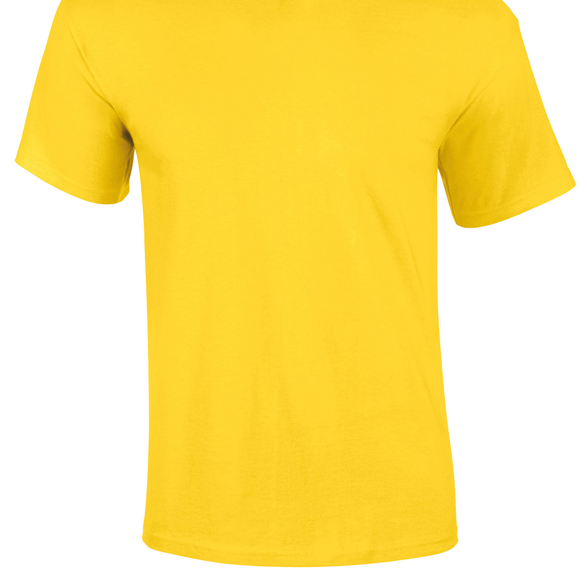 Gildan Ultra Cotton Adult T-Shirt