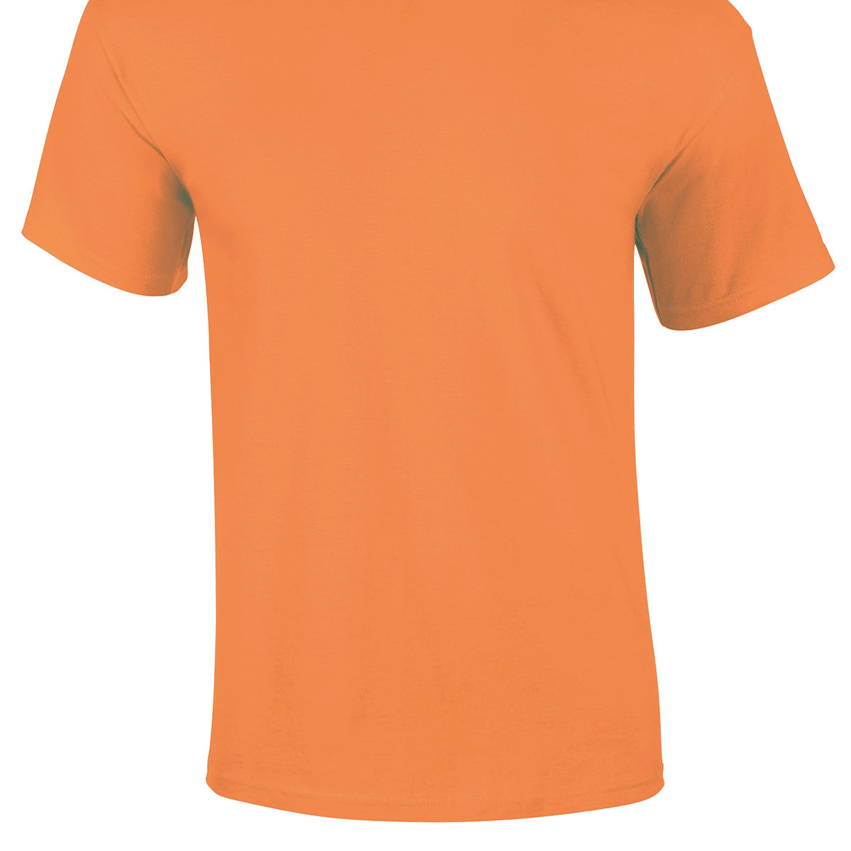 Gildan Ultra Cotton Adult T-Shirt