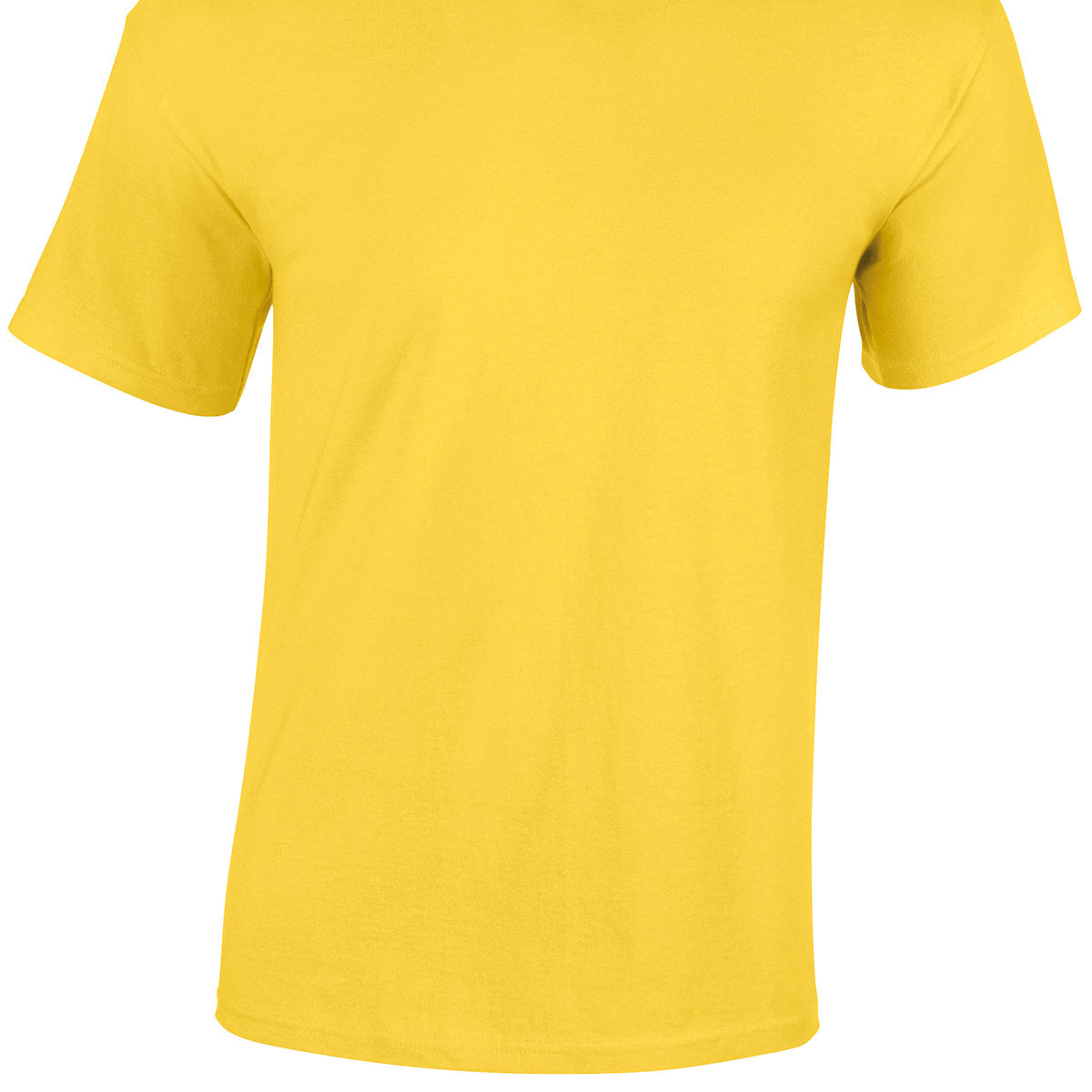 Gildan Heavy Cotton Adult T-Shirt