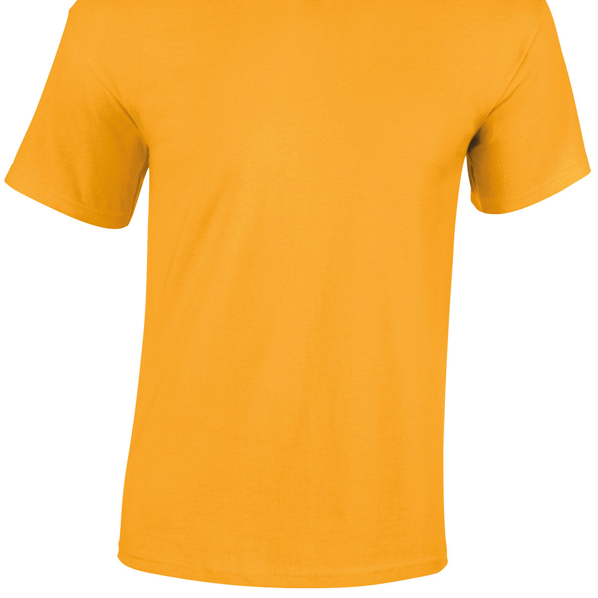Gildan Heavy Cotton Adult T-Shirt