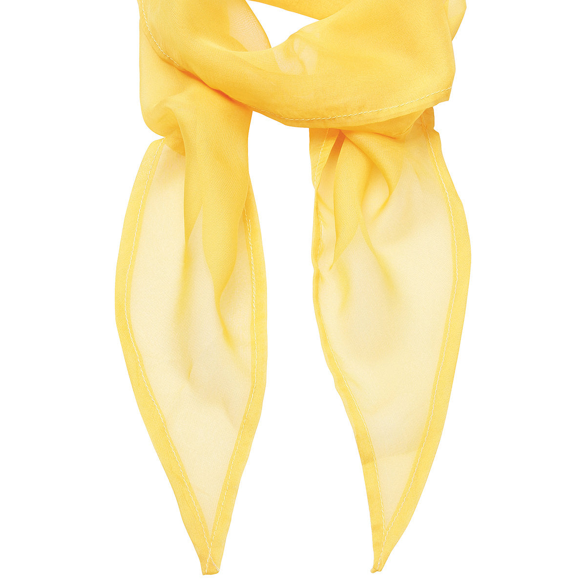 Premier'Colours' Chiffon Scarf