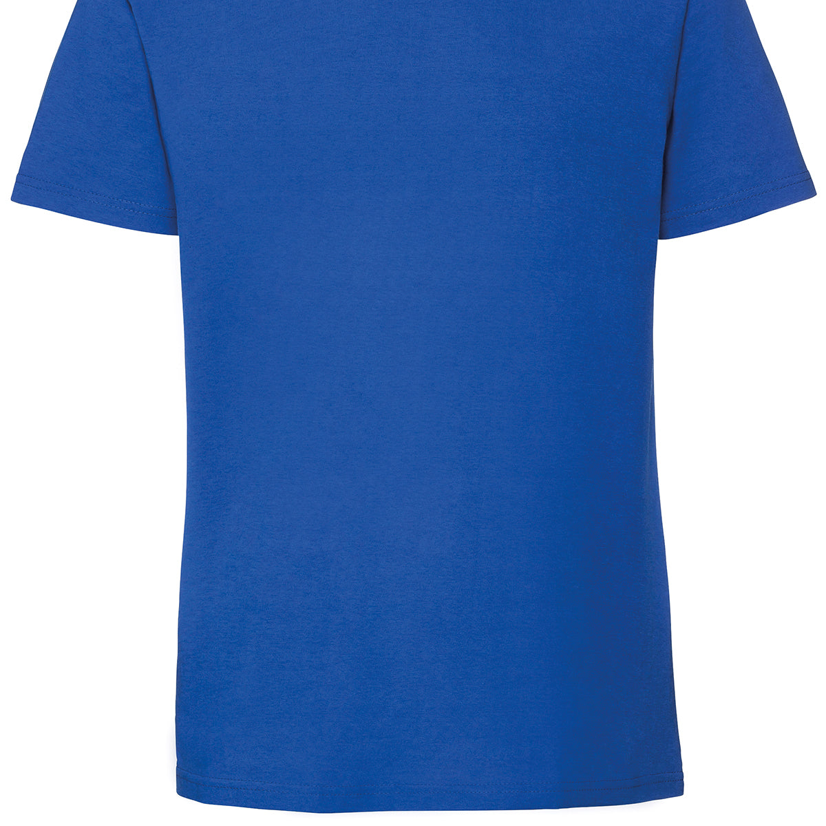 Fruit of the Loom Iconic 195 Ringspun Premium T