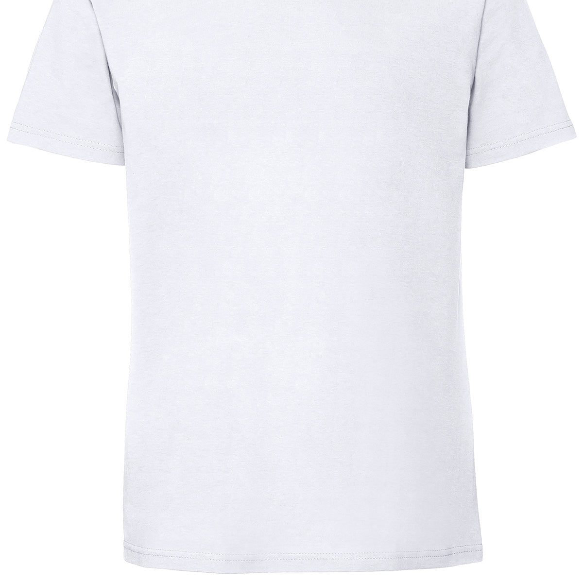 Fruit of the Loom Iconic 195 Ringspun Premium T