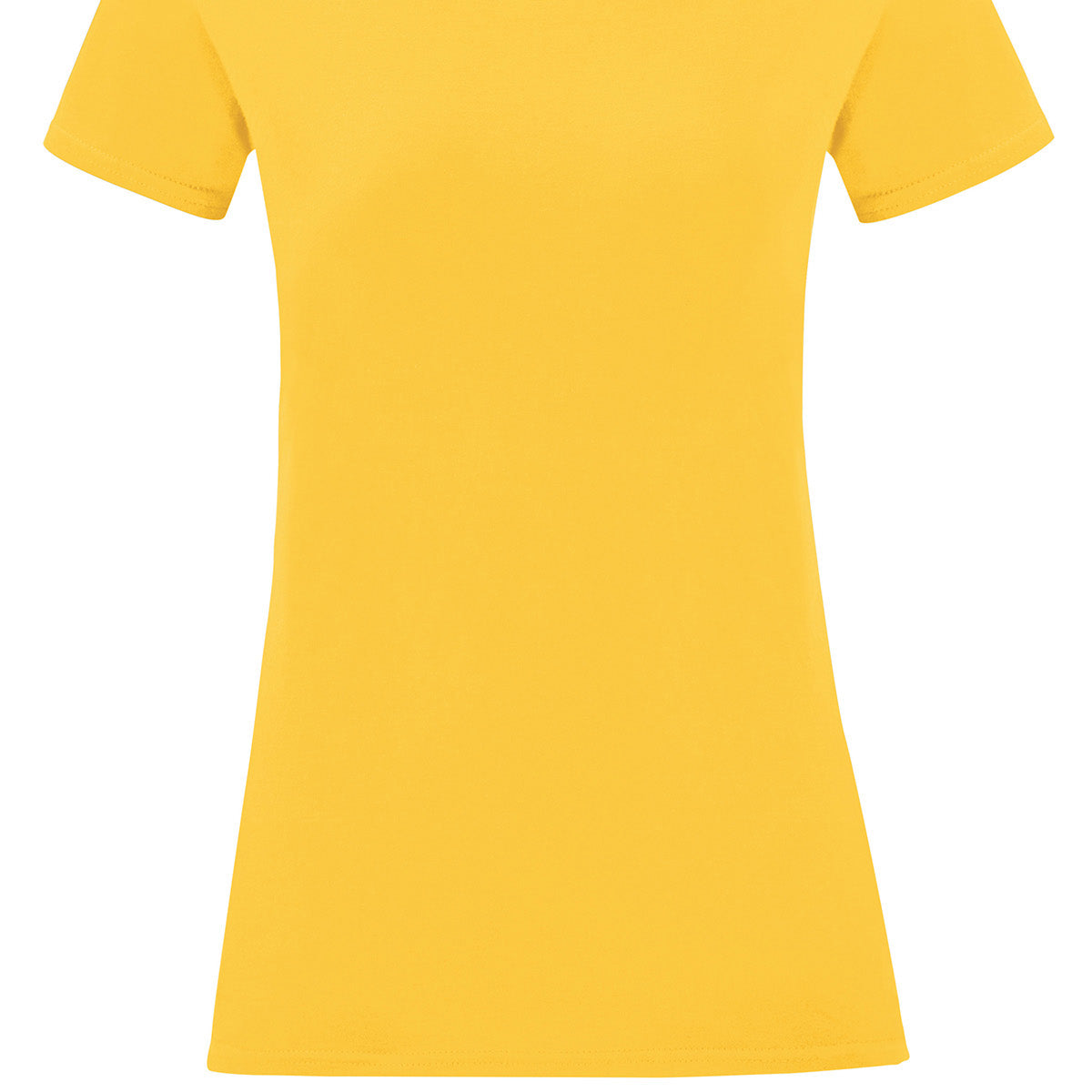 Fruit of the Loom Women's Iconic T