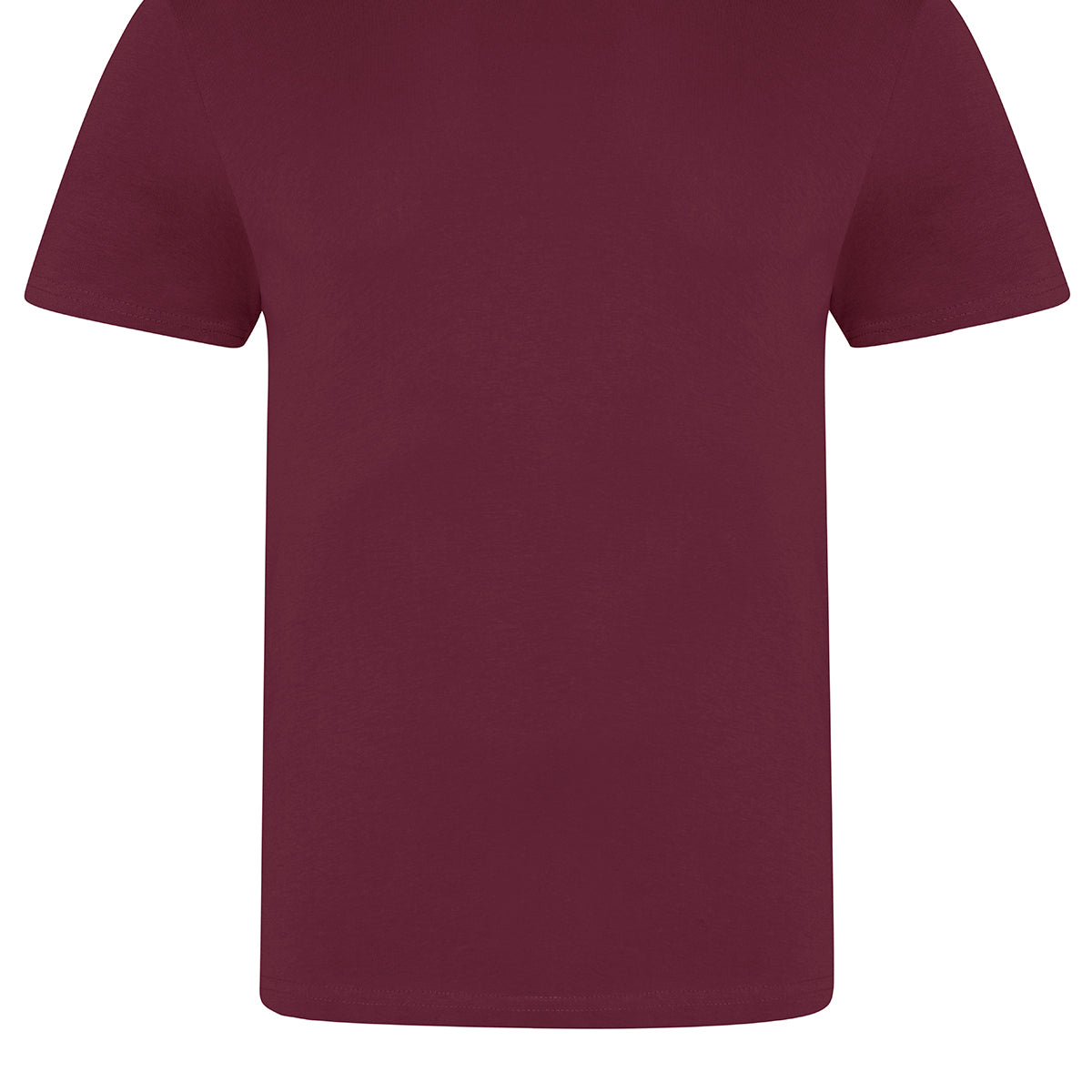 AWDis Just T's The 100 T