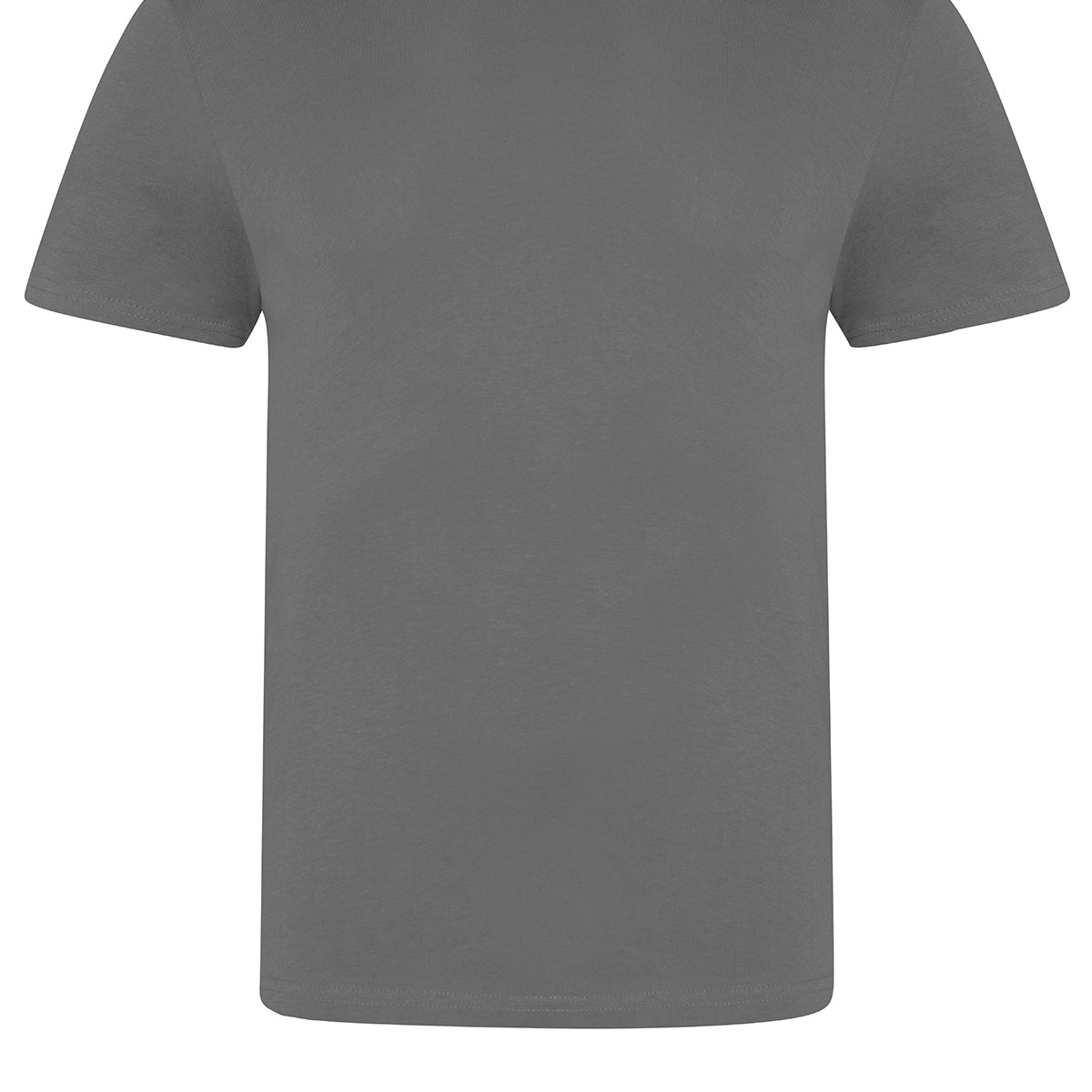 AWDis Just T's The 100 T