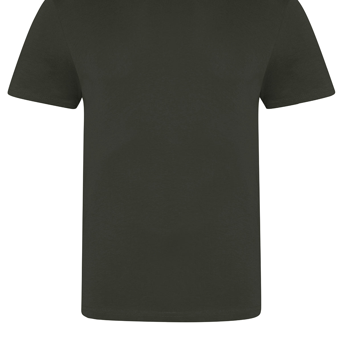 AWDis Just T's The 100 T