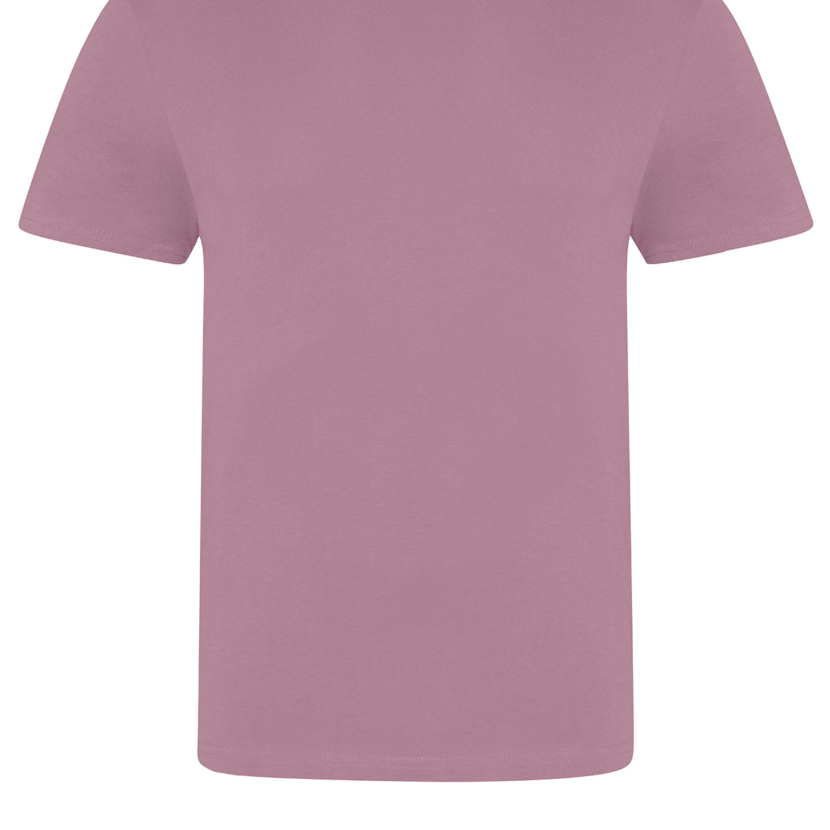 AWDis Just T's The 100 T