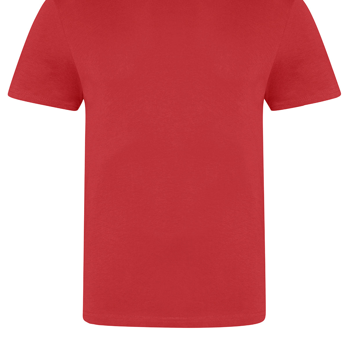 AWDis Just T's The 100 T