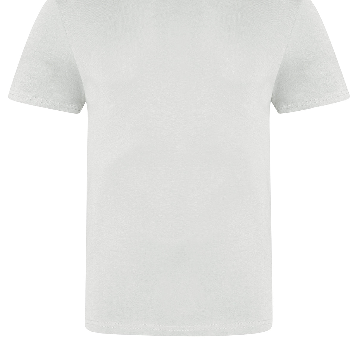 AWDis Just T's The 100 T