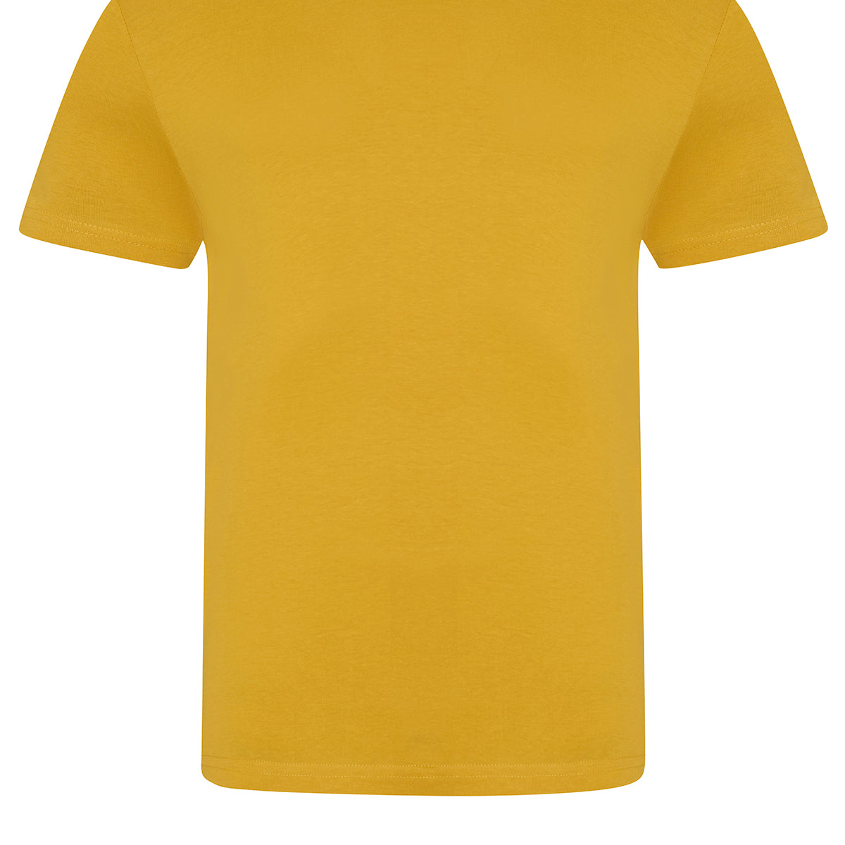 AWDis Just T's The 100 T