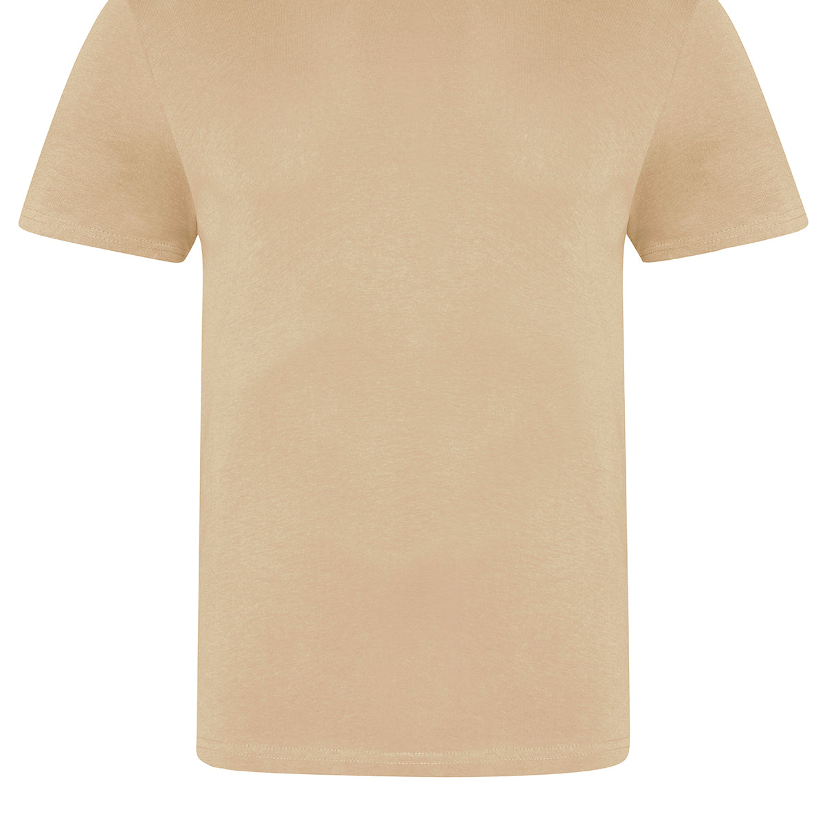 AWDis Just T's The 100 T