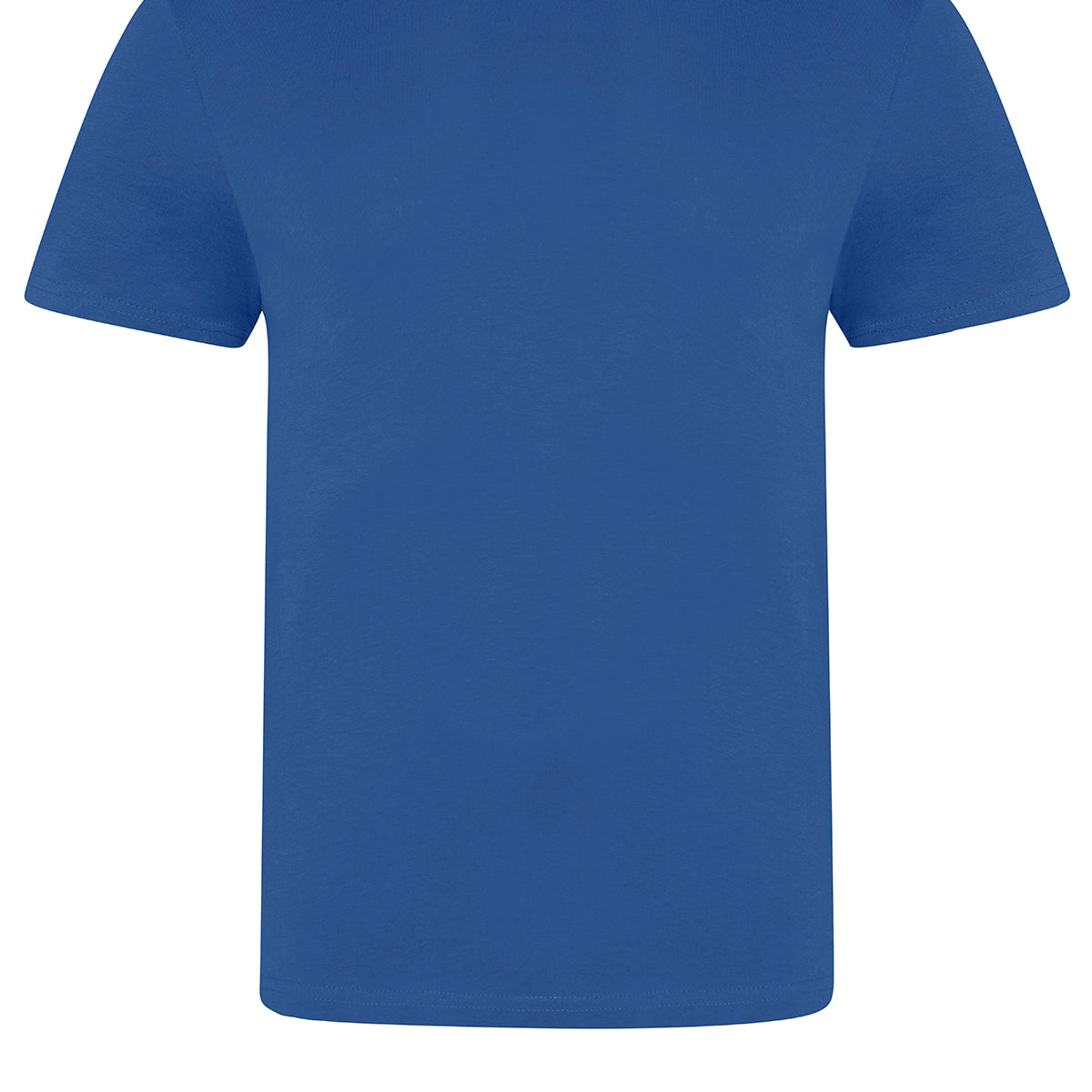 AWDis Just T's The 100 T