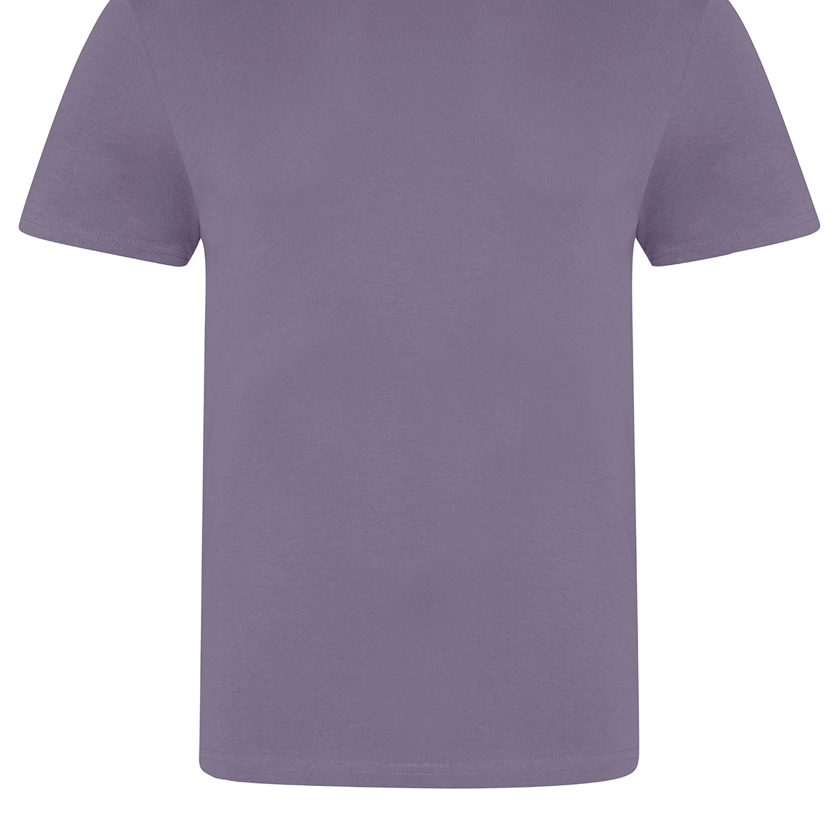 AWDis Just T's The 100 T