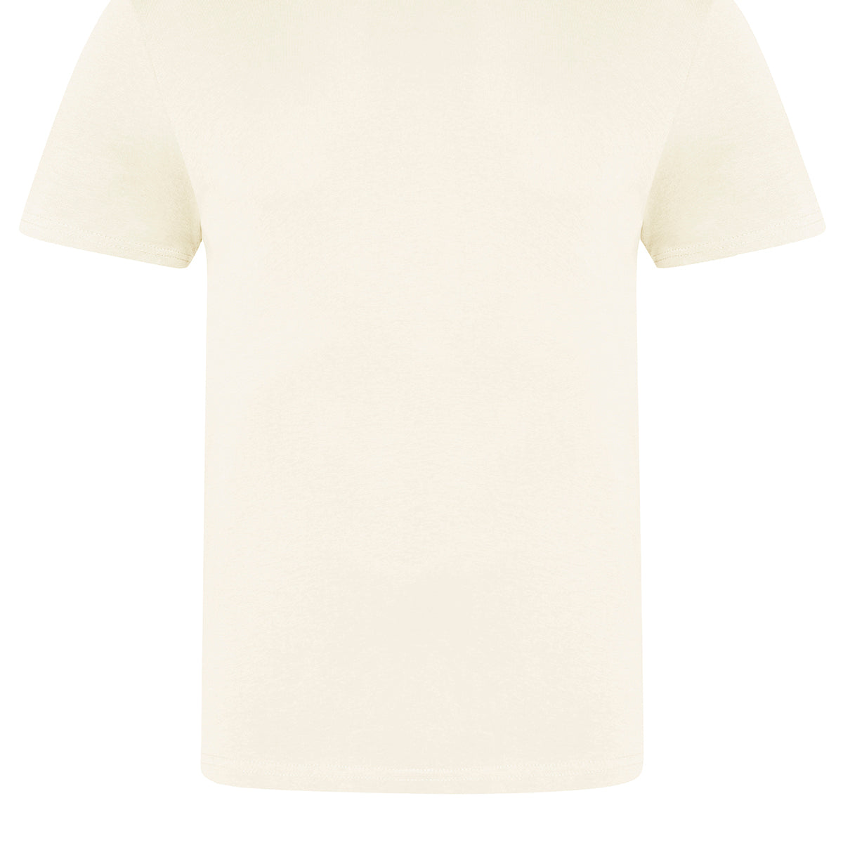 AWDis Just T's The 100 T