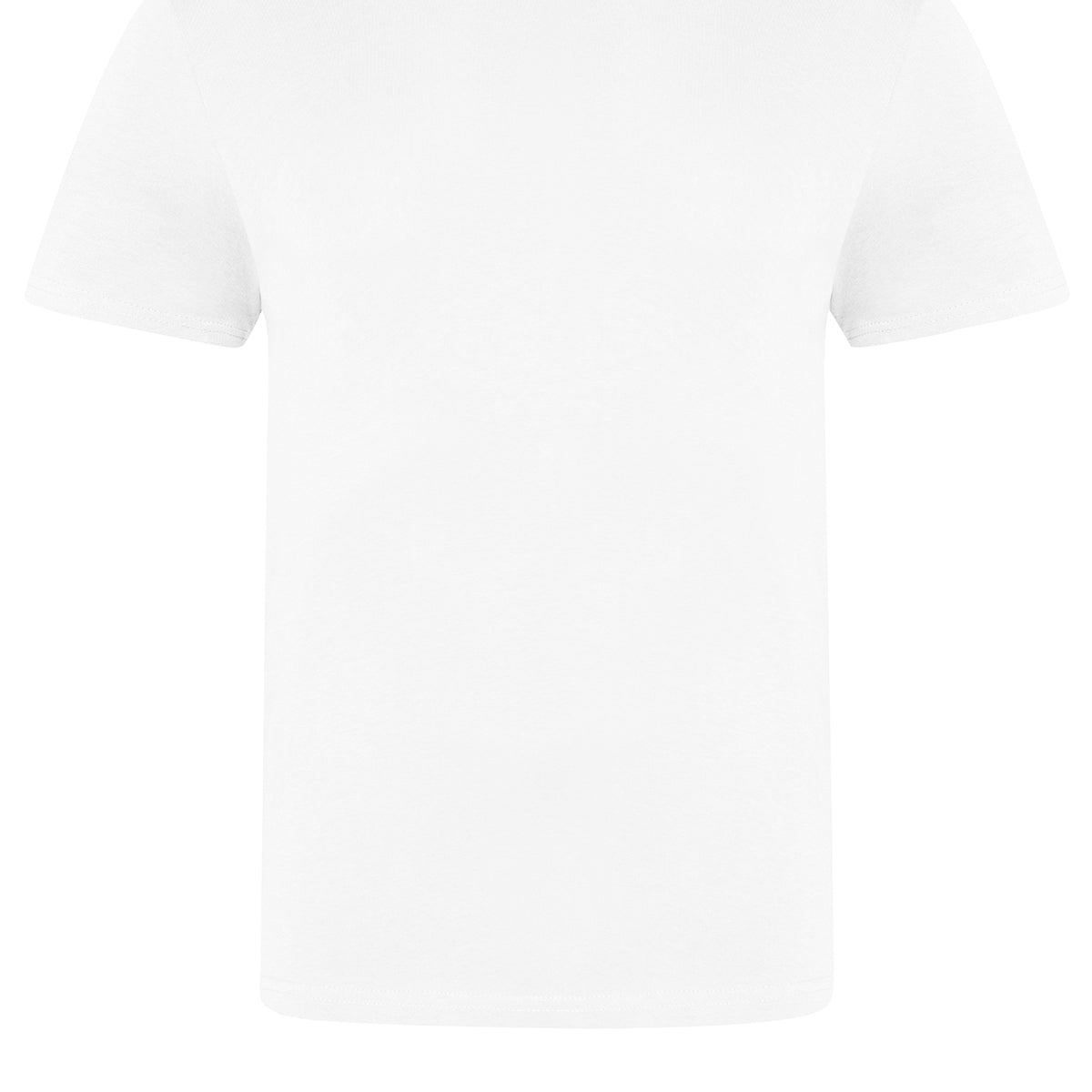 AWDis Just T's The 100 T