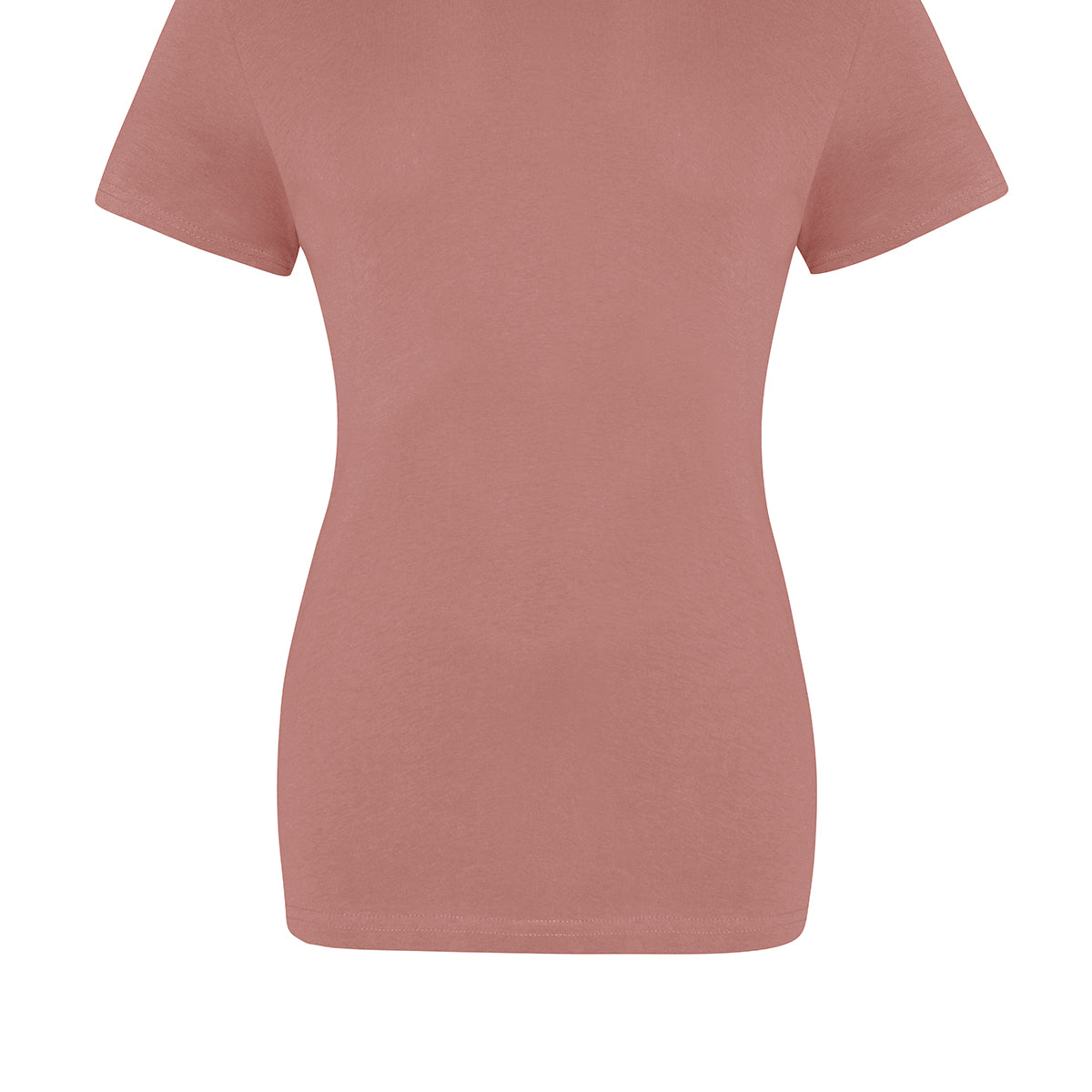 AWDis Just T's The 100 Girlie T