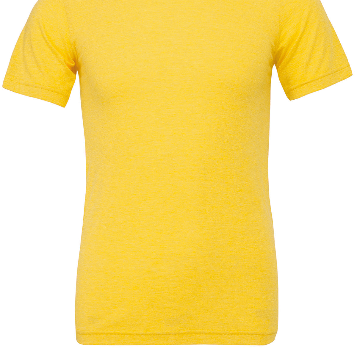 Bella & Canvas Unisex Triblend Crew Neck T-Shirt