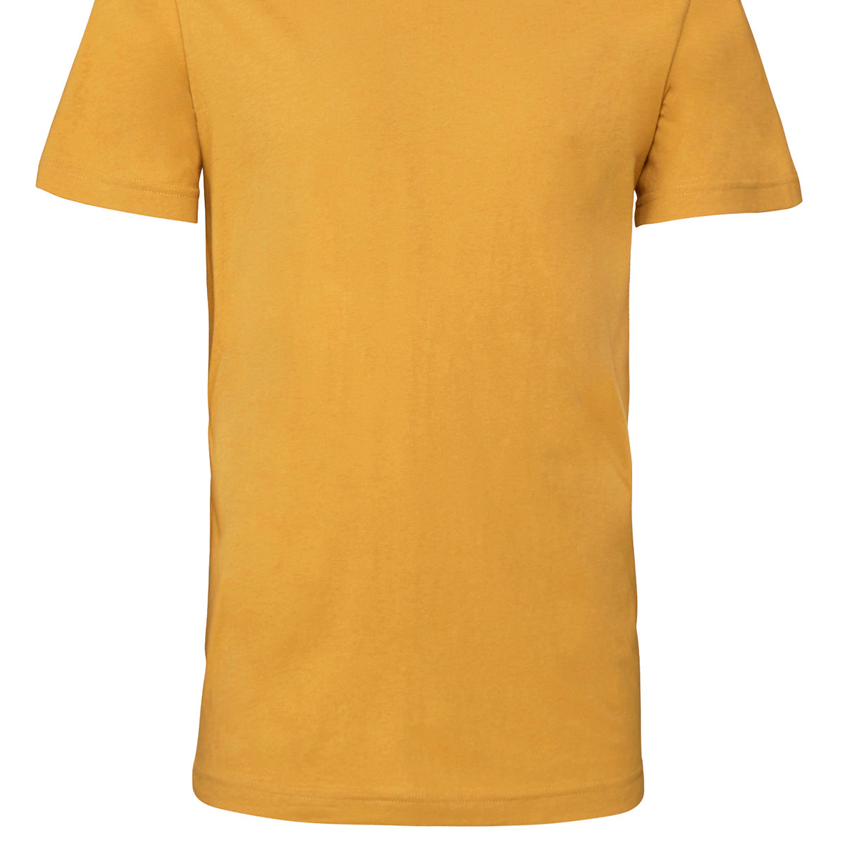 Bella & Canvas Unisex Jersey Crew Neck T-Shirt