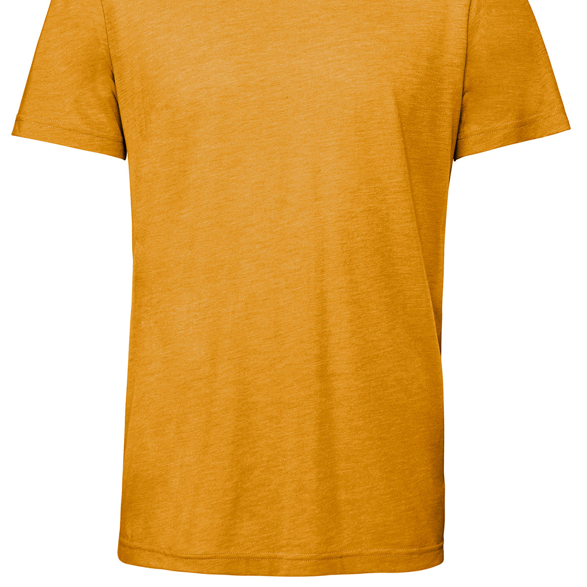 Bella & Canvas Unisex Triblend Crew Neck T-Shirt