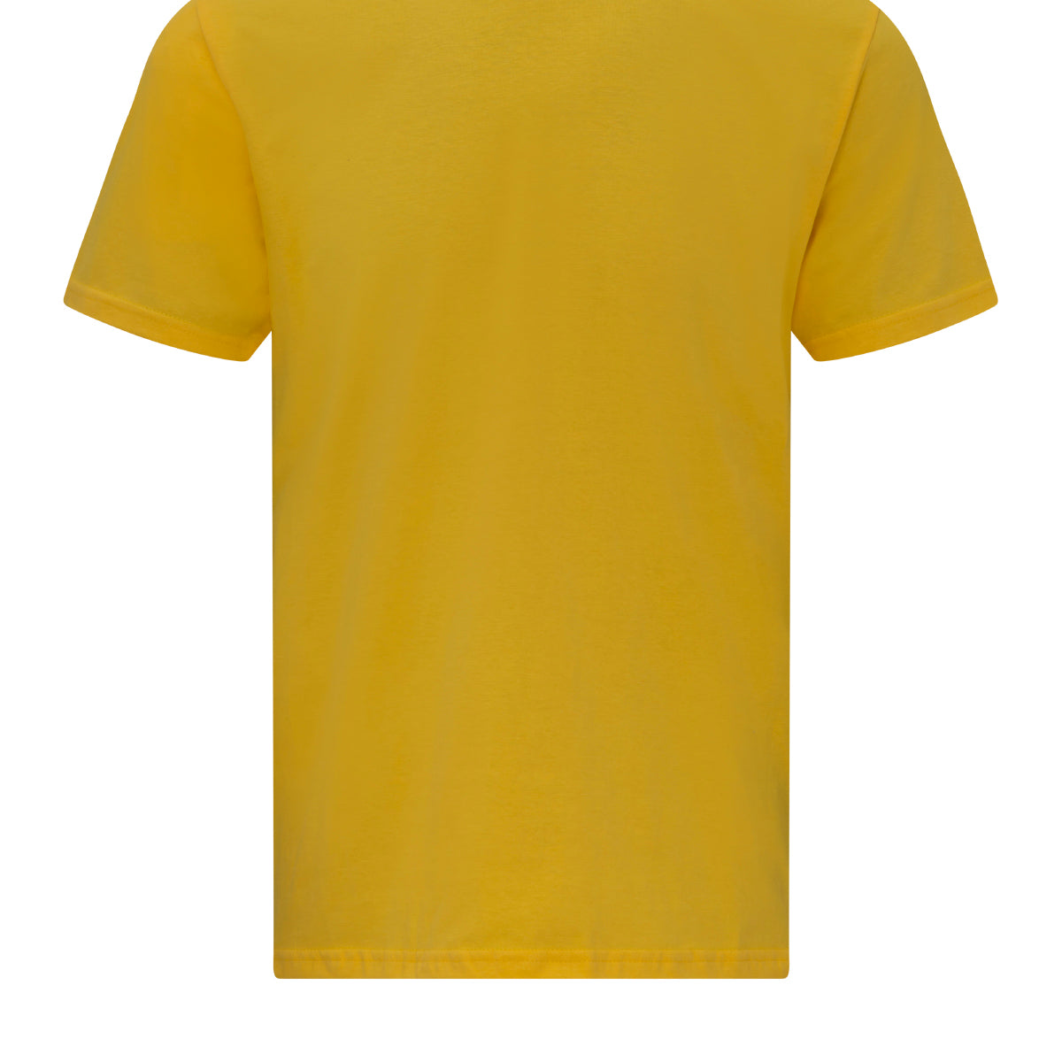 Gildan Softstyle Midweight Adult T-Shirt