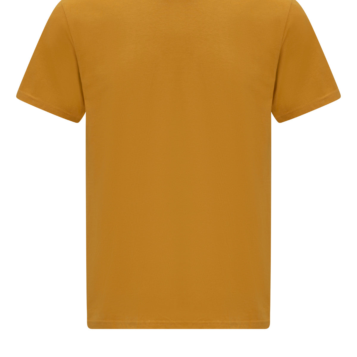 Gildan Softstyle Midweight Adult T-Shirt