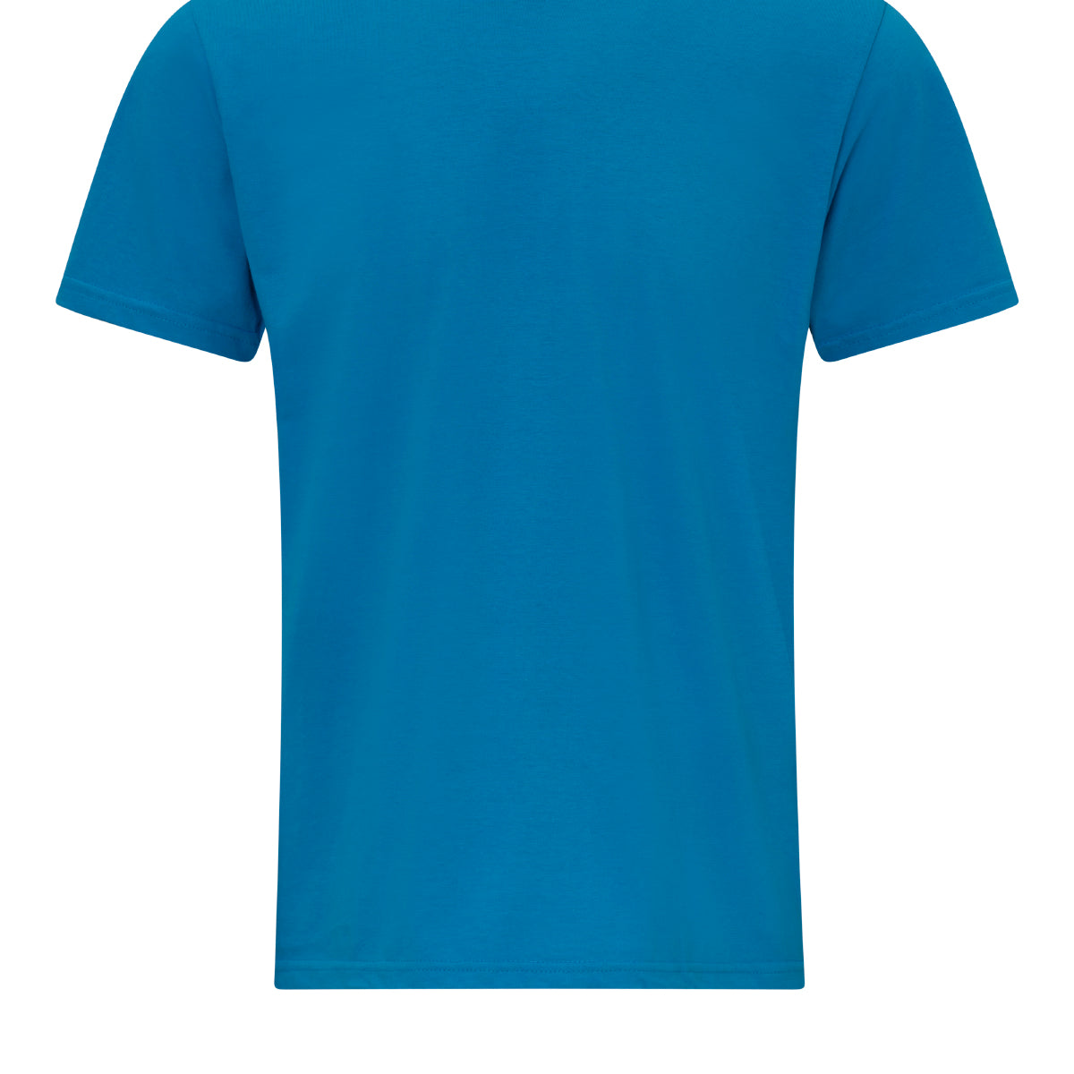 Gildan Softstyle Midweight Adult T-Shirt