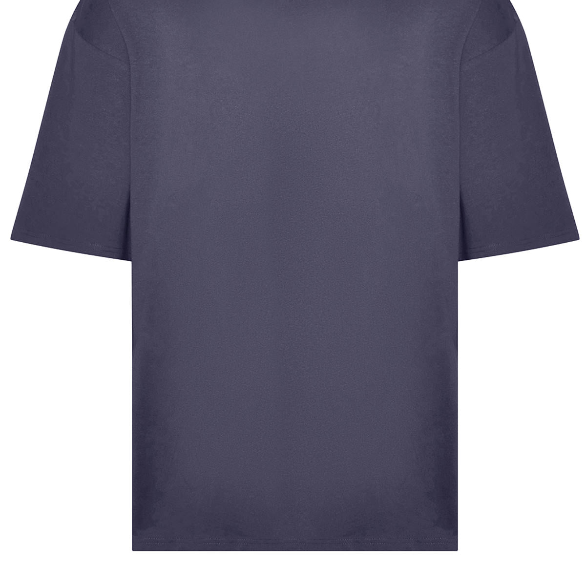 AWDis Just T's Oversize 100 T