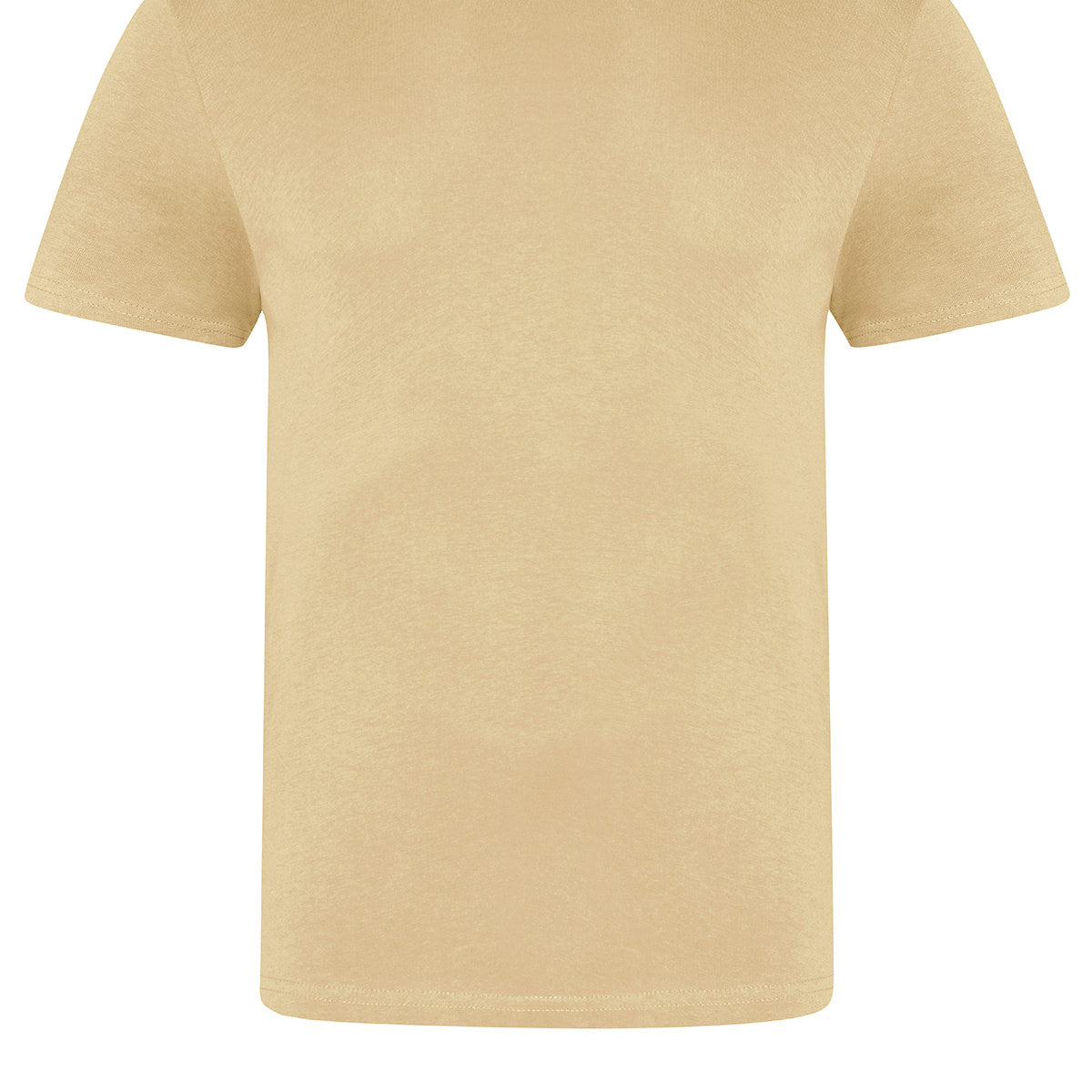 AWDis Just T's The 100 T