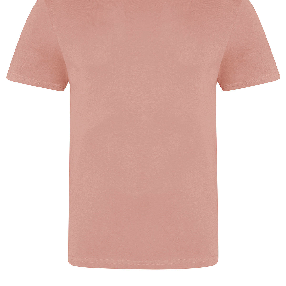 AWDis Just T's The 100 T