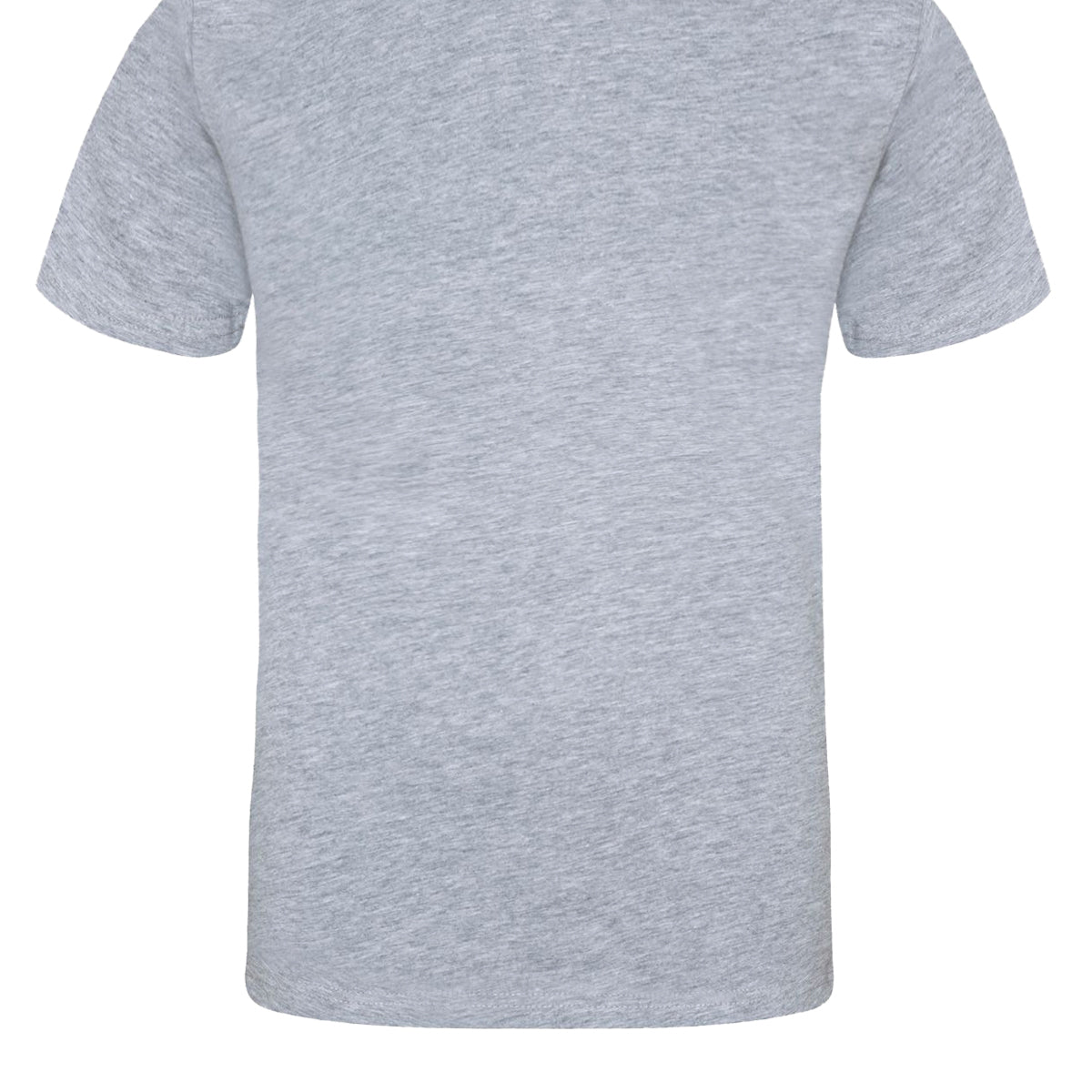 AWDis Just T's The 100 T