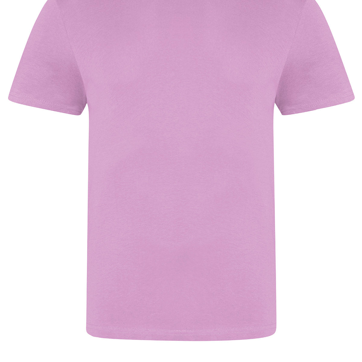 AWDis Just T's The 100 T