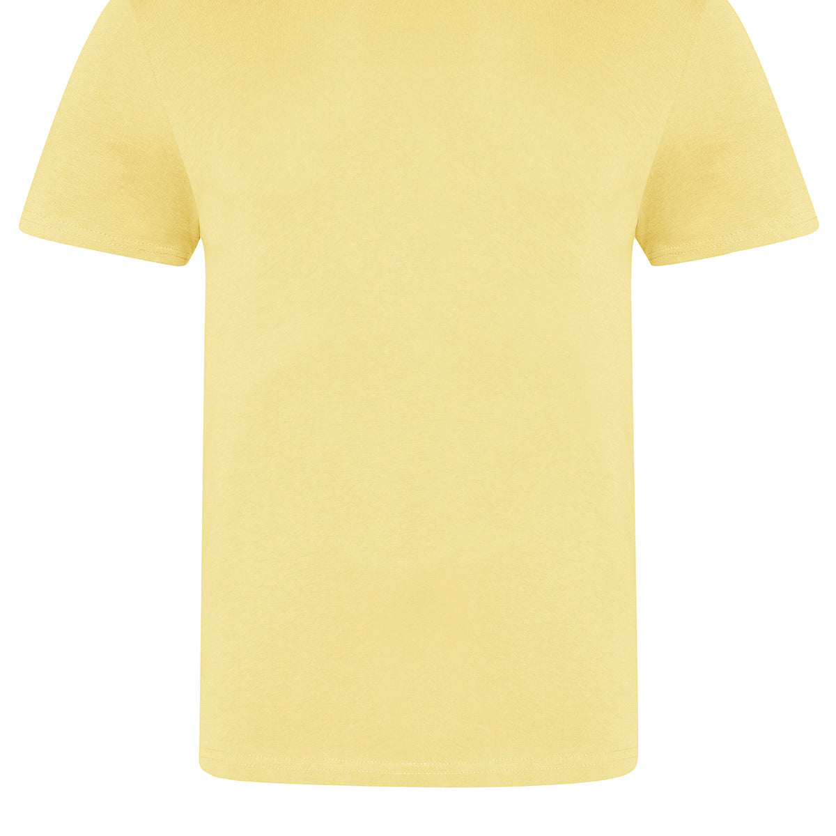 AWDis Just T's The 100 T