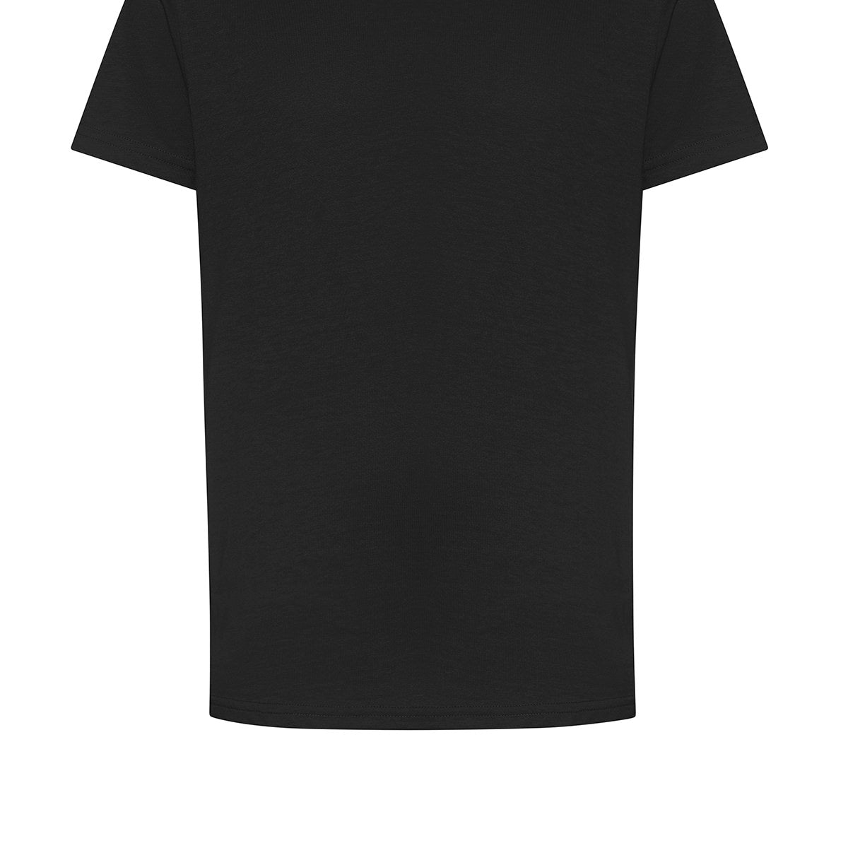 AWDis Just T's The 100 Kids T