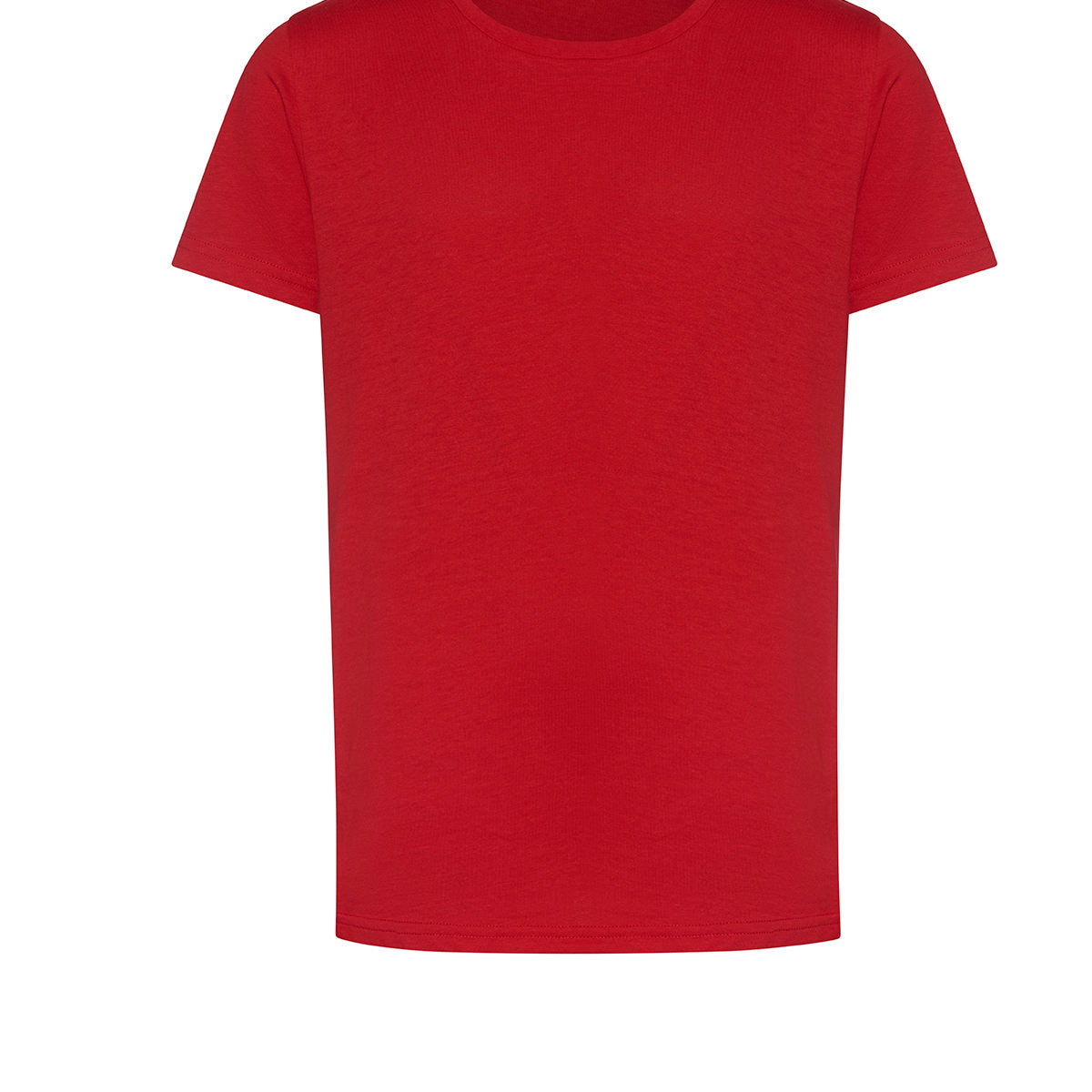 AWDis Just T's The 100 Kids T