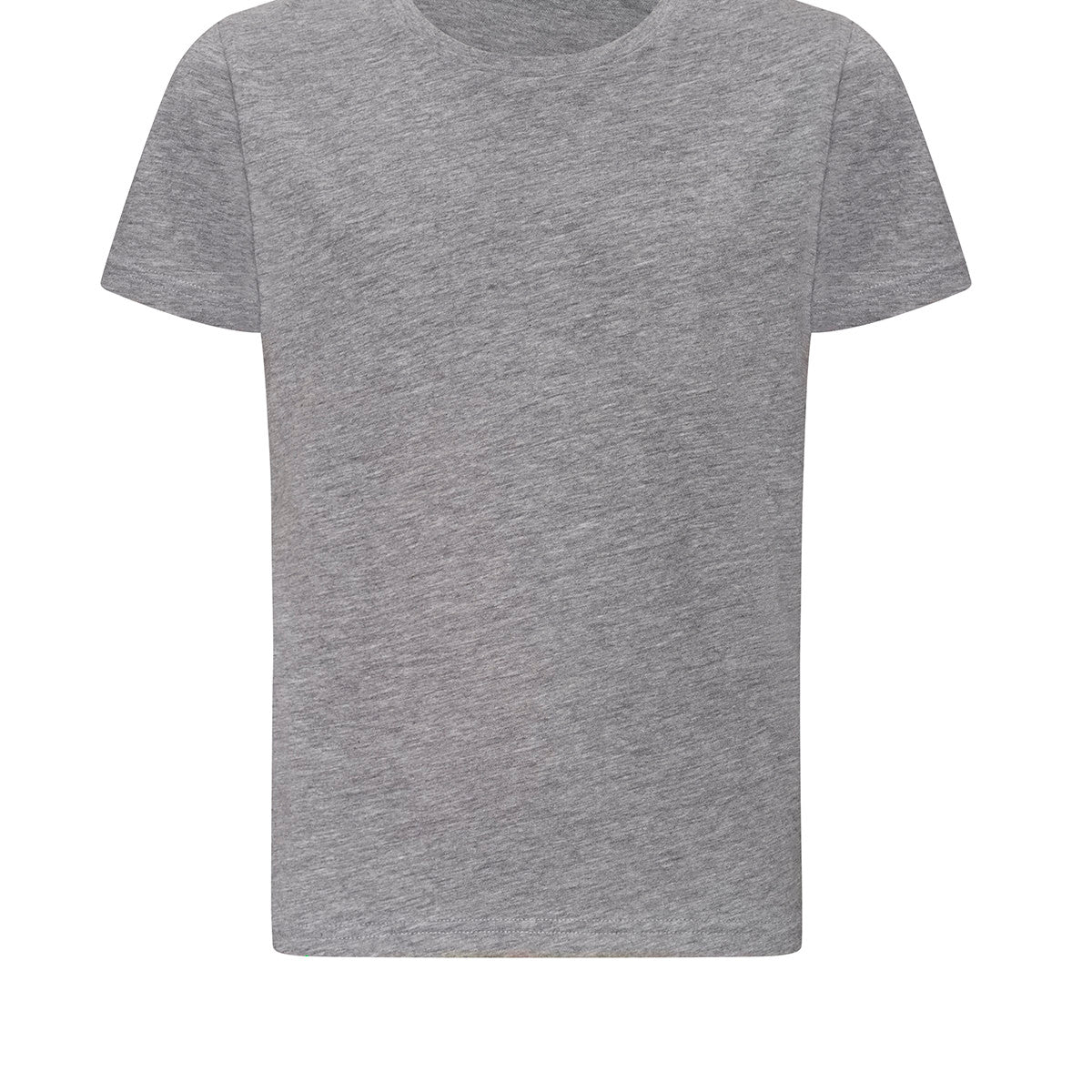 AWDis Just T's The 100 Kids T