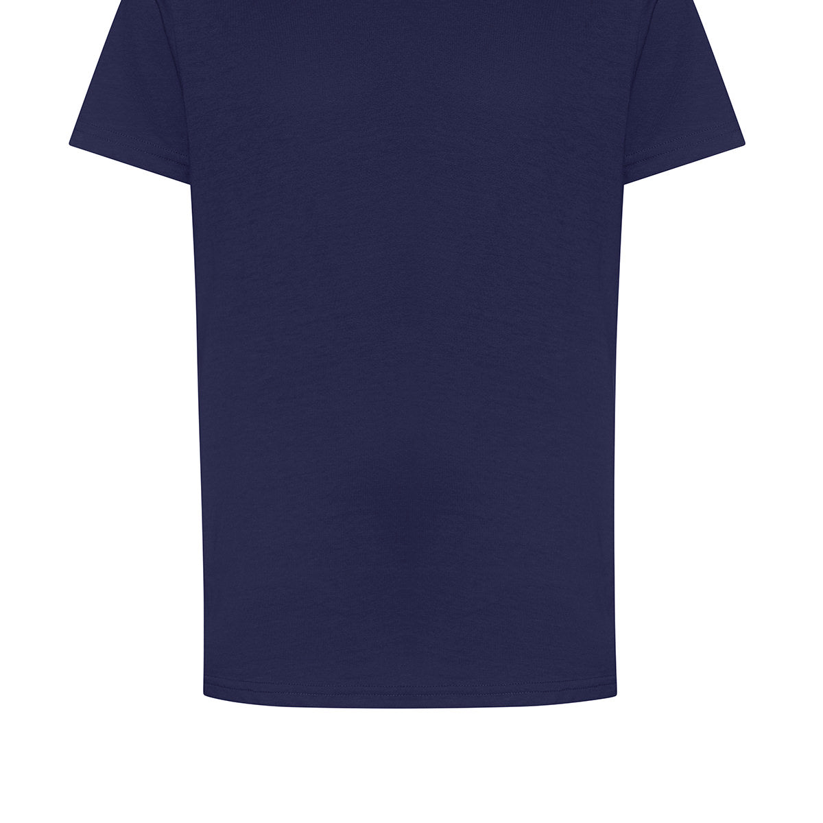 AWDis Just T's The 100 Kids T