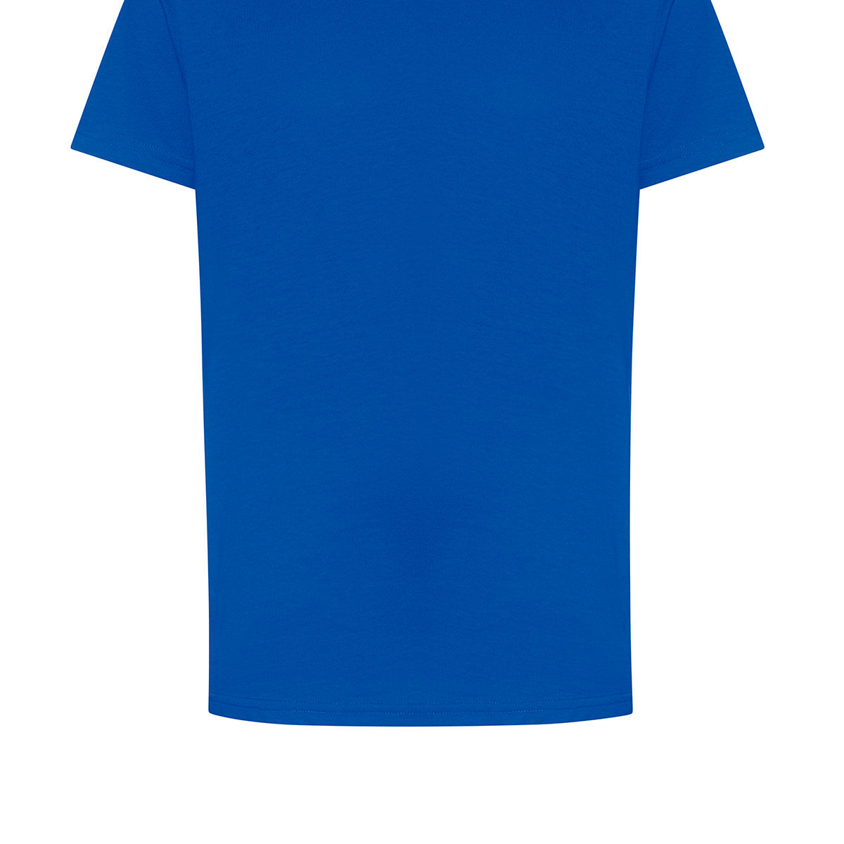 AWDis Just T's The 100 Kids T