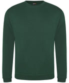 Pro sweatshirt