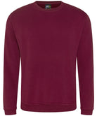 Pro sweatshirt